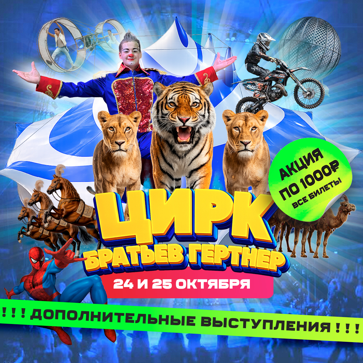 Афиша. Цирк братьев Гертнер в г.Кузнецк 24 и 25 октября 2026